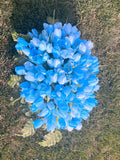 Bright Turquoise Blue tulip cemetery flowers