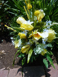 Yellow Tulip cemetery flowers