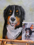 Custom Pet Portrait, 5x7 to 11x14, oil painting of your pet