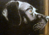 Custom Pet Portraits - 5x7 to 11x14 - oil painting of your pet - dog painting - Julie Butler Creations