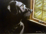 Custom Pet Portrait, 5x7 to 11x14, oil painting of your pet