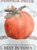 Pumpkin Shelf sitter - wood plaques for Fall - Thanksgiving decorations - Farmhouse decor - Julie Butler Creations