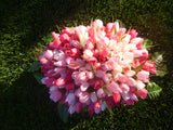 Pink Mini Tulip Headstone saddle, Cemetery flowers