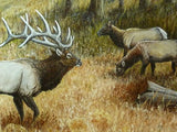 Original Oil painting - Elk painting - Wildlife Art - 16x20 - animal art - framed painting - Julie Butler Creations