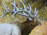 Original Oil painting - Elk painting - Wildlife Art - 16x20 - animal art - framed painting - Julie Butler Creations