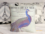 Paris Peacock pillow - Vintage French Pillow - Decorative Throw Pillow - Peacock pillow - Julie Butler Creations